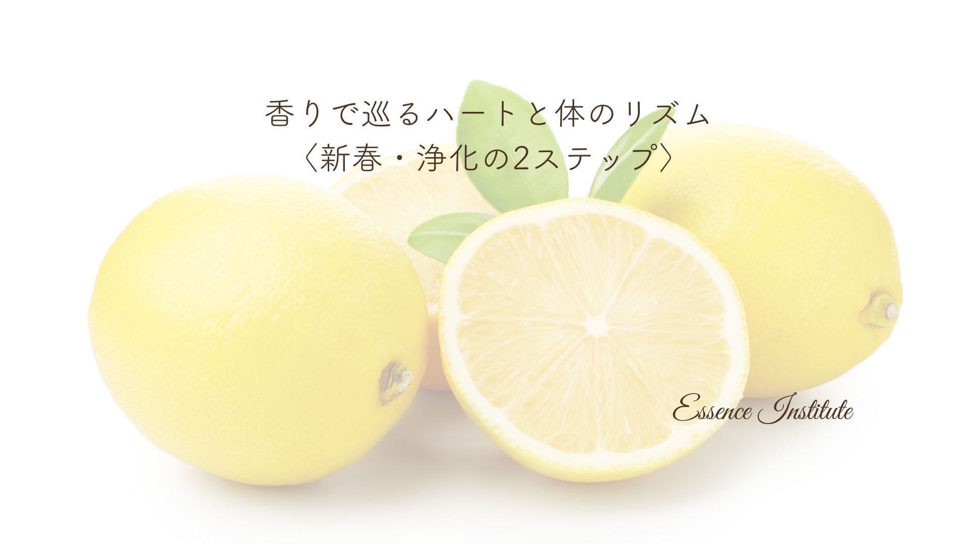 アップロード画像